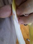20260520_172235.jpg
