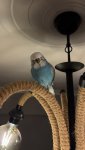IMG_8218.jpeg IMG_8218.jpeg