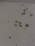 IMG_5810.jpeg