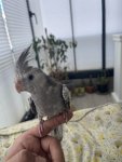 IMG_2771.jpeg