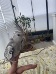 IMG_2770.jpeg