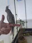 IMG_2773.jpeg