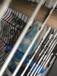IMG_4343.jpeg
