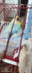 IMG_20260523_080102_666.jpg