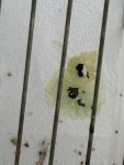 IMG_7111.jpeg
