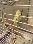 IMG_5393.jpeg
