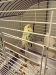 IMG_5392.jpeg
