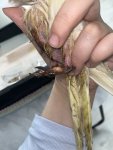 IMG_7514.jpeg