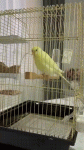 WA_1779714252202 (1).gif
