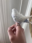 IMG_1042.jpeg