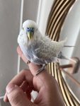 IMG_1044.jpeg