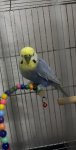IMG_9424.jpeg