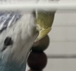 IMG_5741.jpeg