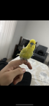 IMG_5210.png