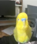 IMG_5211.jpeg