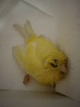 IMG_1643.jpeg