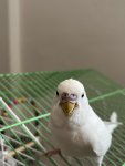 IMG_2465.jpeg