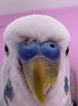 IMG_1163.jpeg
