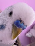 IMG_1160.jpeg
