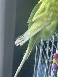 IMG_0471.jpeg