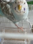 IMG_7289.jpeg