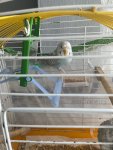 IMG_7290.jpeg