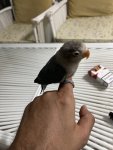 IMG_2794.jpeg