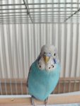 IMG_20260529_123019.jpg