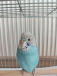 IMG_20260529_123005.jpg