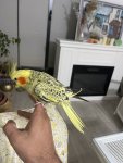 IMG_2798.jpeg