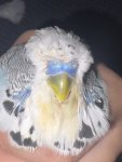 IMG_1817.jpeg