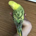 IMG_3670.jpeg