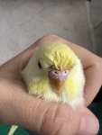 IMG_6013.jpeg