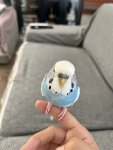 IMG_4693.jpeg