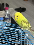 IMG_9195.jpeg