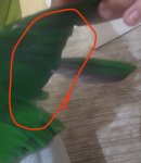 IMG_20260531_122016.jpg