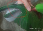 IMG_20260531_122050.jpg