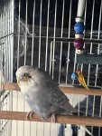 IMG_0996.jpeg