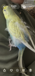 IMG_6352.png