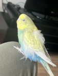 IMG_6354.jpeg