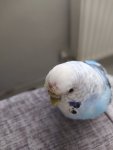 IMG_20260601_132824.jpg
