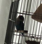 IMG_20260602_094930.jpg