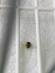 IMG_6627.jpeg