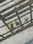 IMG_7466.jpeg