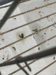 IMG_7465.jpeg