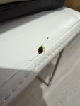 IMG_0428.jpeg
