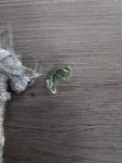 IMG_8404.jpeg