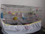 IMG-20260602-WA0020.jpg