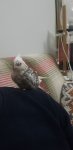 20260531_222923.jpg
