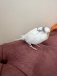 IMG_8151.jpeg